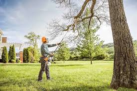 Best Tree Risk Assessment  in Newstle, CA