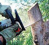 Best Hedge Trimming  in Newstle, CA